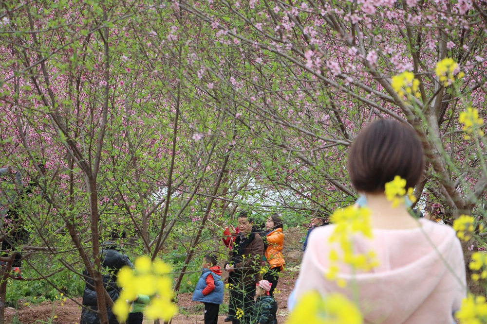 �c(di��n)���´��ڴ��_��D