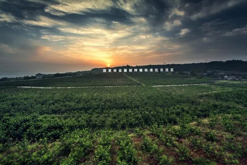 點擊新窗口打開大圖